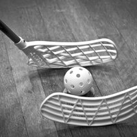 Bildet viser to innebandykøller og en ball