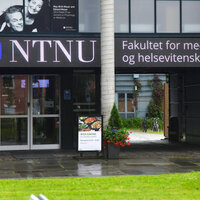 Bildet viser NTNUs lokaler