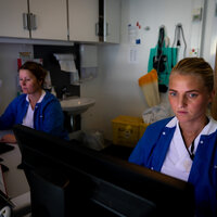 Bildet viser to sykepleiere som sitter foran hver sin datamaskin